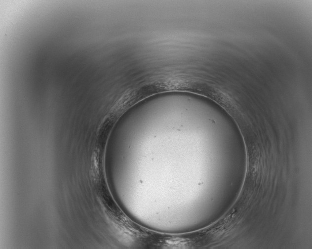 X0000059800214200510281647