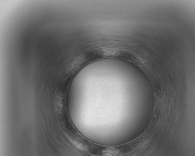 X0000059800215200510281647