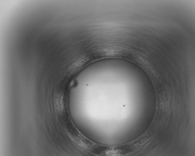 X0000059800216200510281647