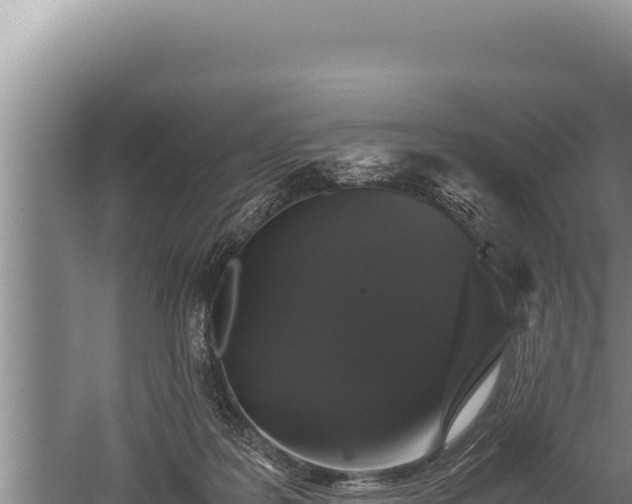 X0000059800219200510281647