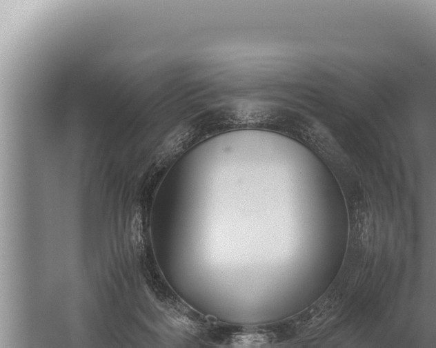 X0000059800220200510281647