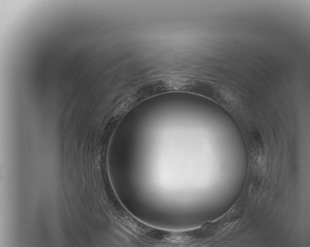 X0000059800221200510281647