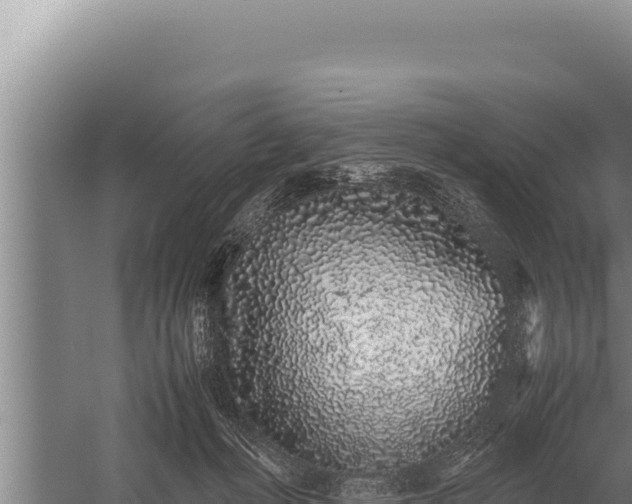 X0000059800222200510281647