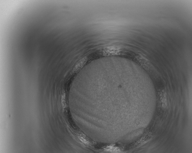 X0000059800224200510281647