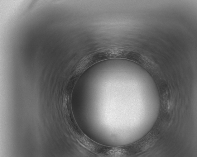 X0000059800225200510281647