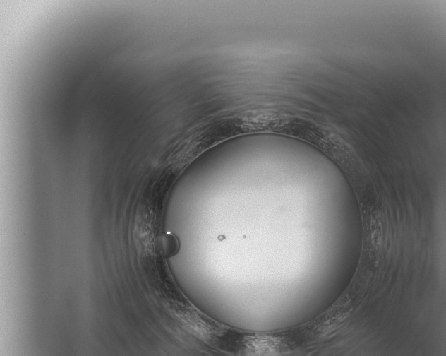 X0000059800226200510281647