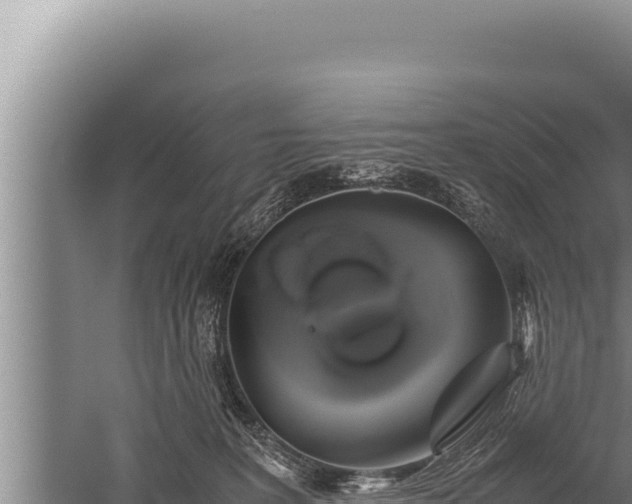 X0000059800227200510281647