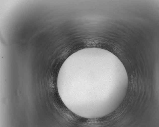 X0000059800228200510281647