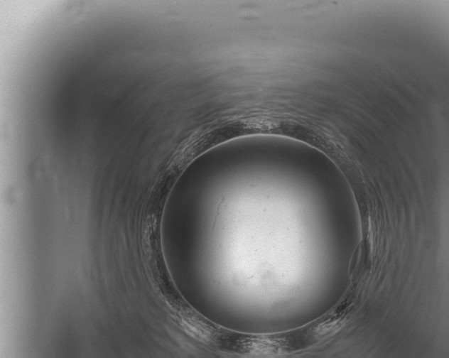 X0000059800229200510281647