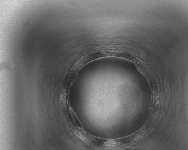 X0000059800231200510281647