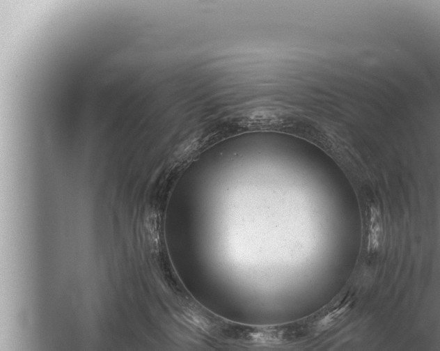 X0000059800232200510281647