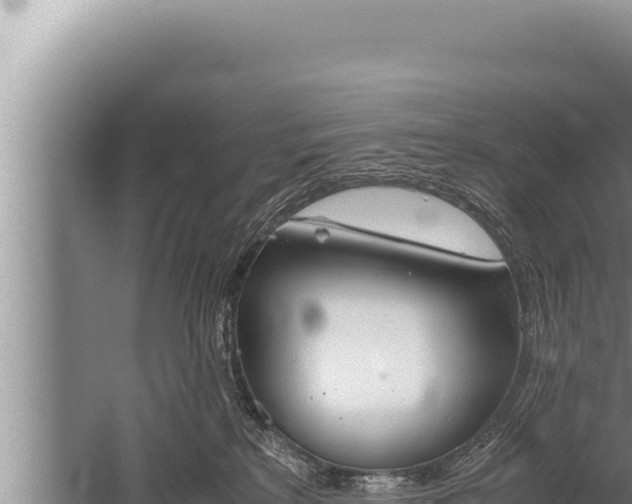 X0000059800233200510281647