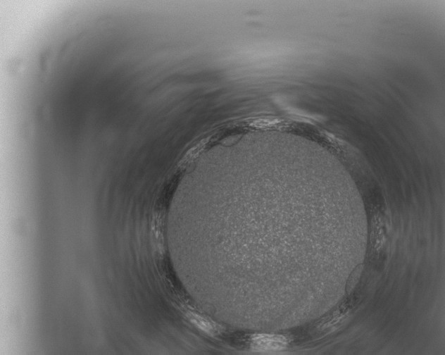 X0000059800234200510281647