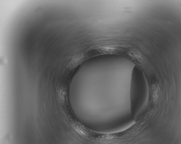 X0000059800235200510281647