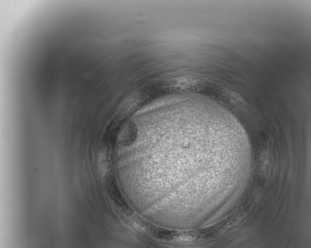 X0000059800236200510281647