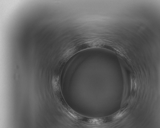 X0000059800239200510281647