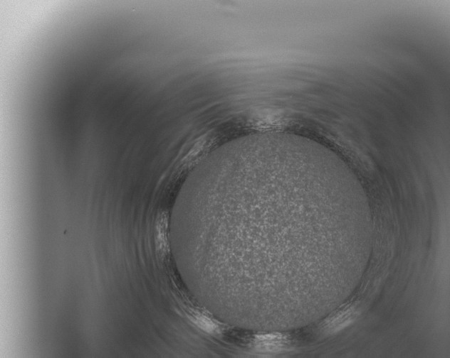 X0000059800240200510281647