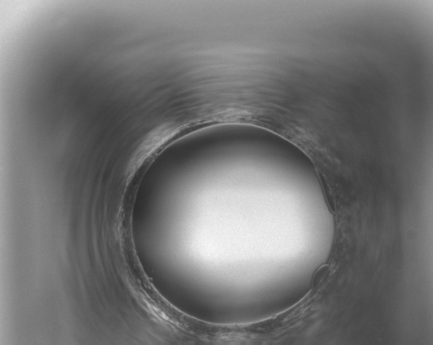 X0000059800242200510281646