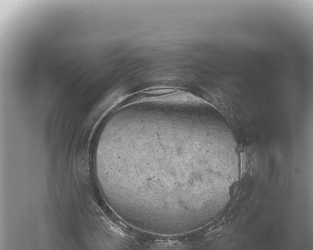 X0000059800243200510281646