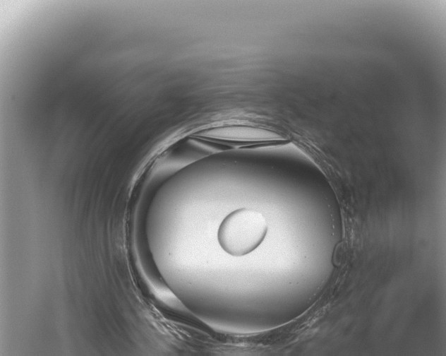 X0000059800244200510281646