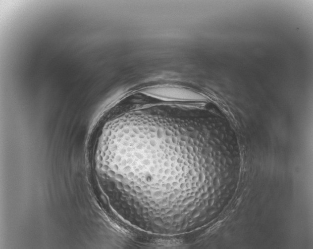 X0000059800245200510281646