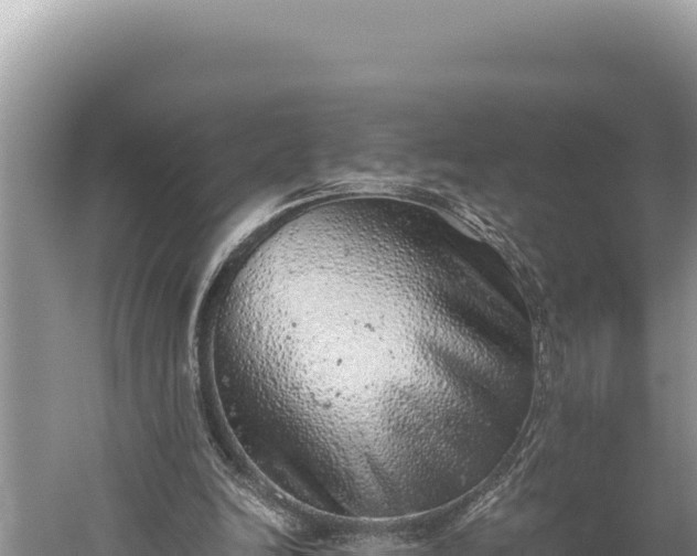 X0000059800246200510281646