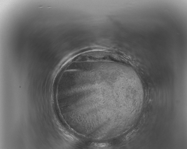 X0000059800247200510281646