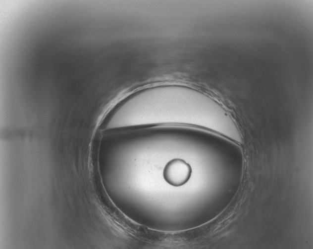 X0000059800248200510281646