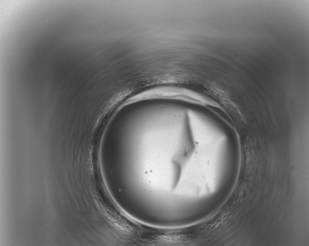 X0000059800250200510281646