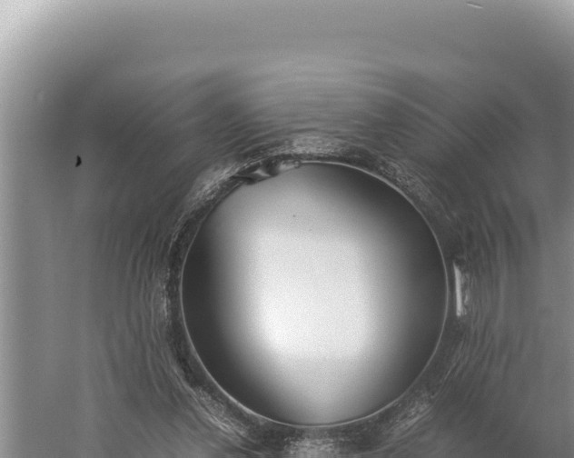 X0000059800252200510281646