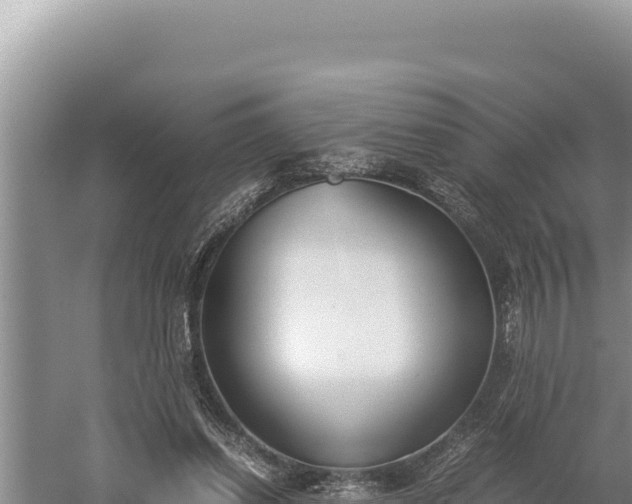 X0000059800254200510281646