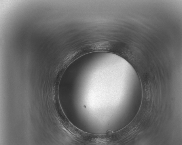 X0000059800255200510281646