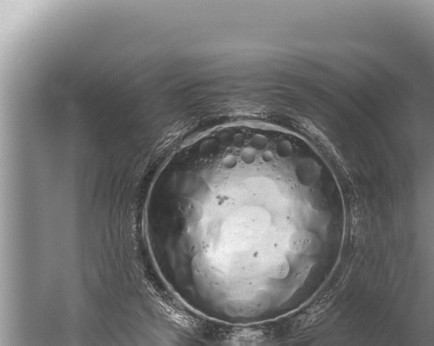 X0000059800257200510281646