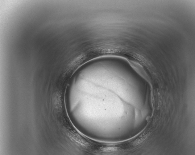 X0000059800258200510281646