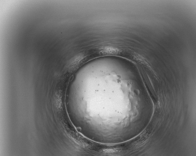 X0000059800259200510281646