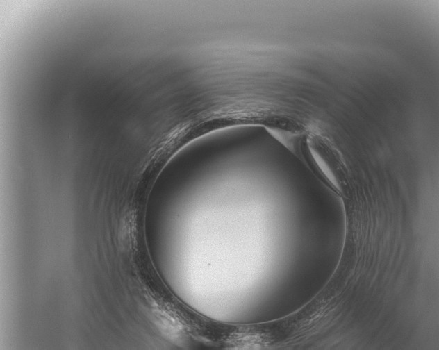 X0000059800260200510281646