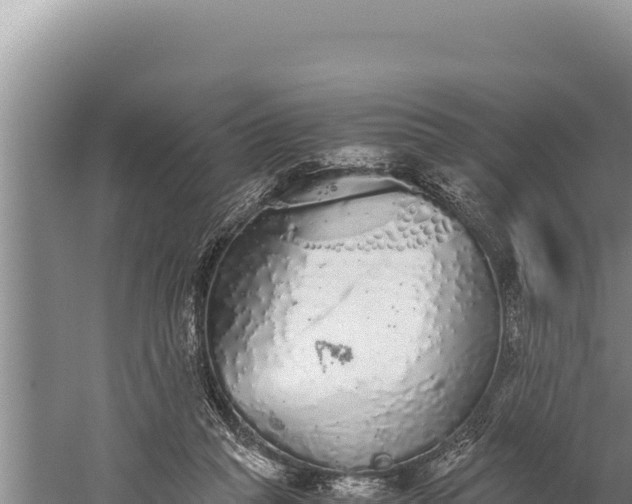 X0000059800261200510281646