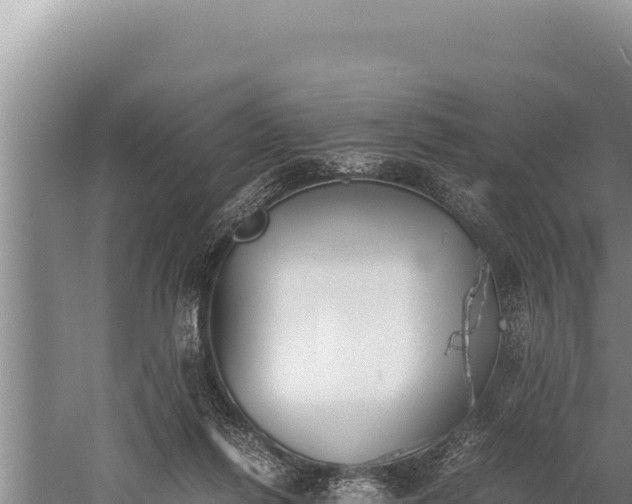 X0000059800262200510281646