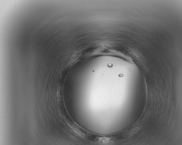 X0000059800265200510281647