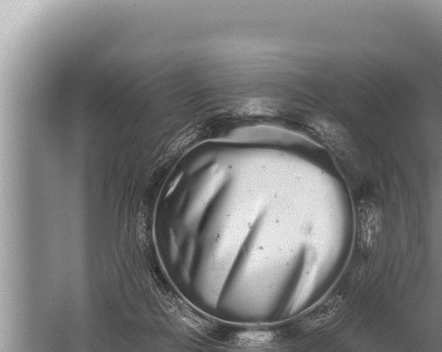 X0000059800266200510281647