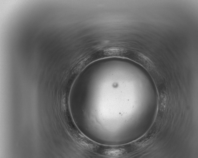 X0000059800267200510281647