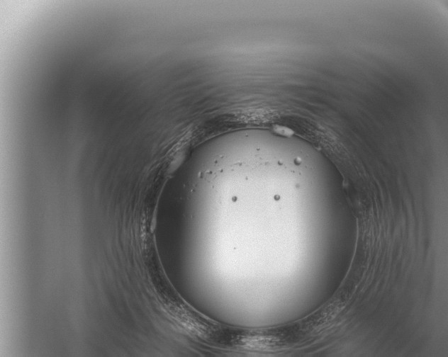 X0000059800268200510281647