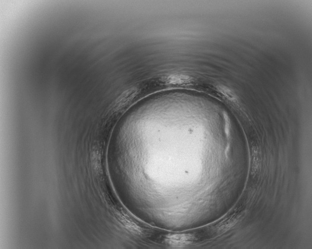 X0000059800269200510281647