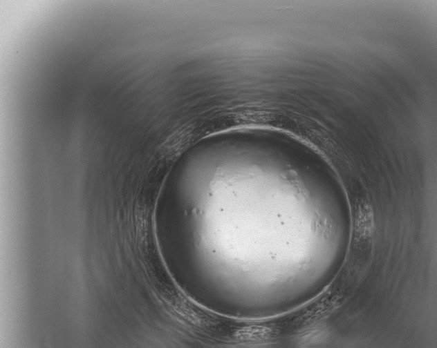 X0000059800271200510281647