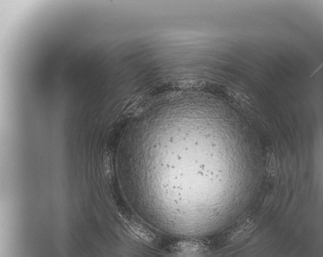 X0000059800272200510281647