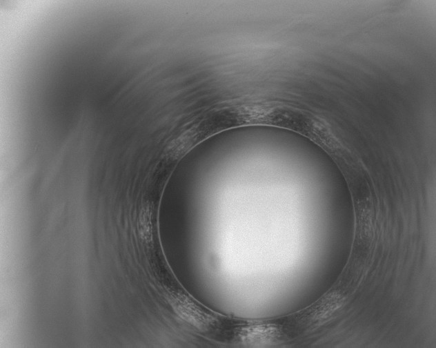 X0000059800274200510281647