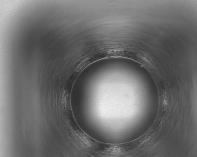 X0000059800276200510281647