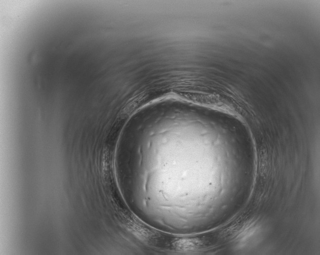 X0000059800277200510281647