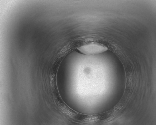 X0000059800278200510281647