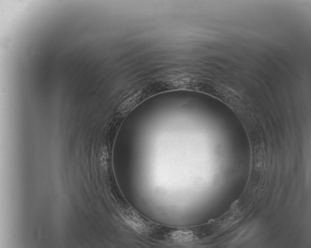 X0000059800279200510281647